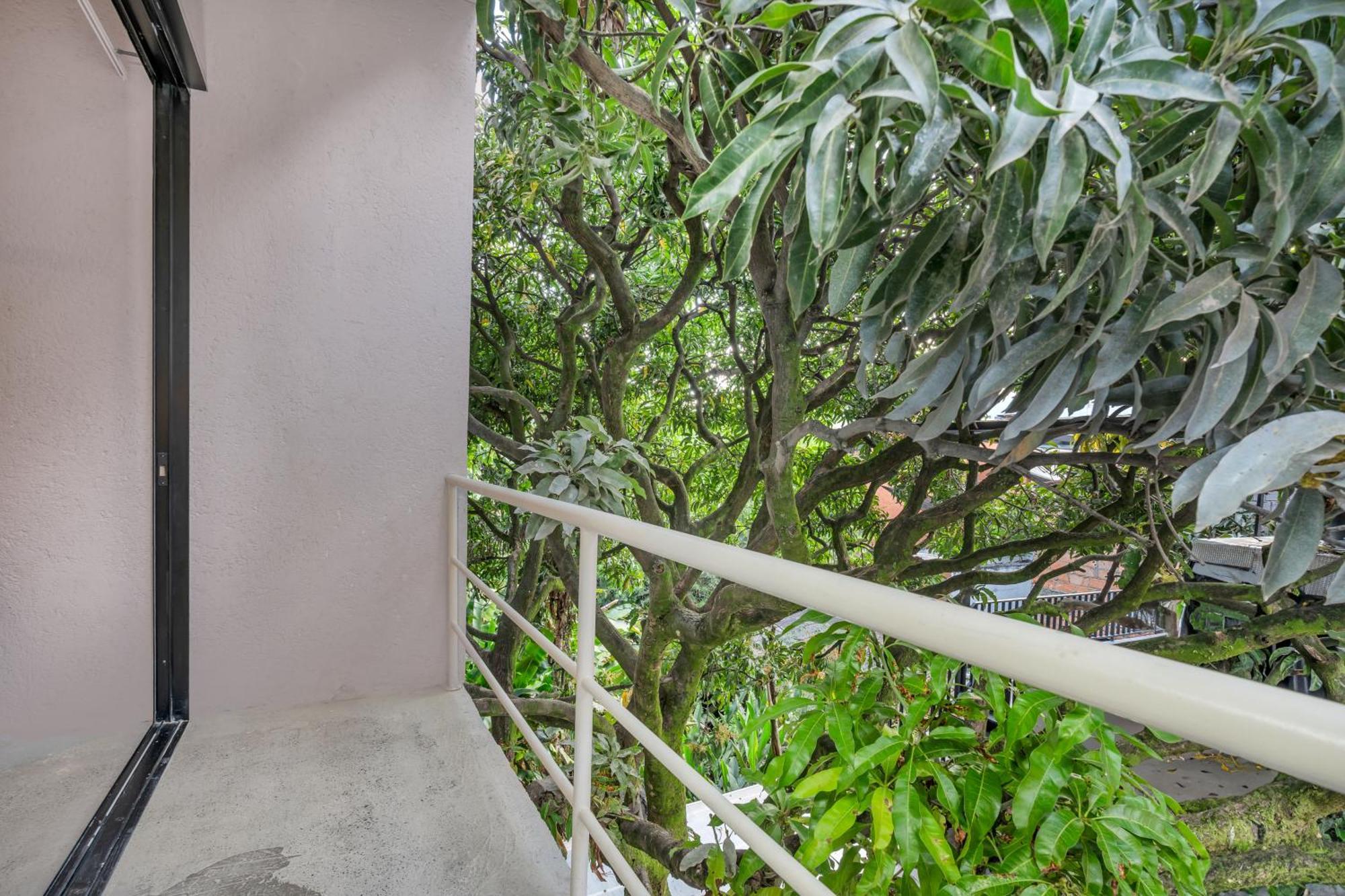 Botanica Casa Hotel Manila By Housy Host Medellín Exteriör bild
