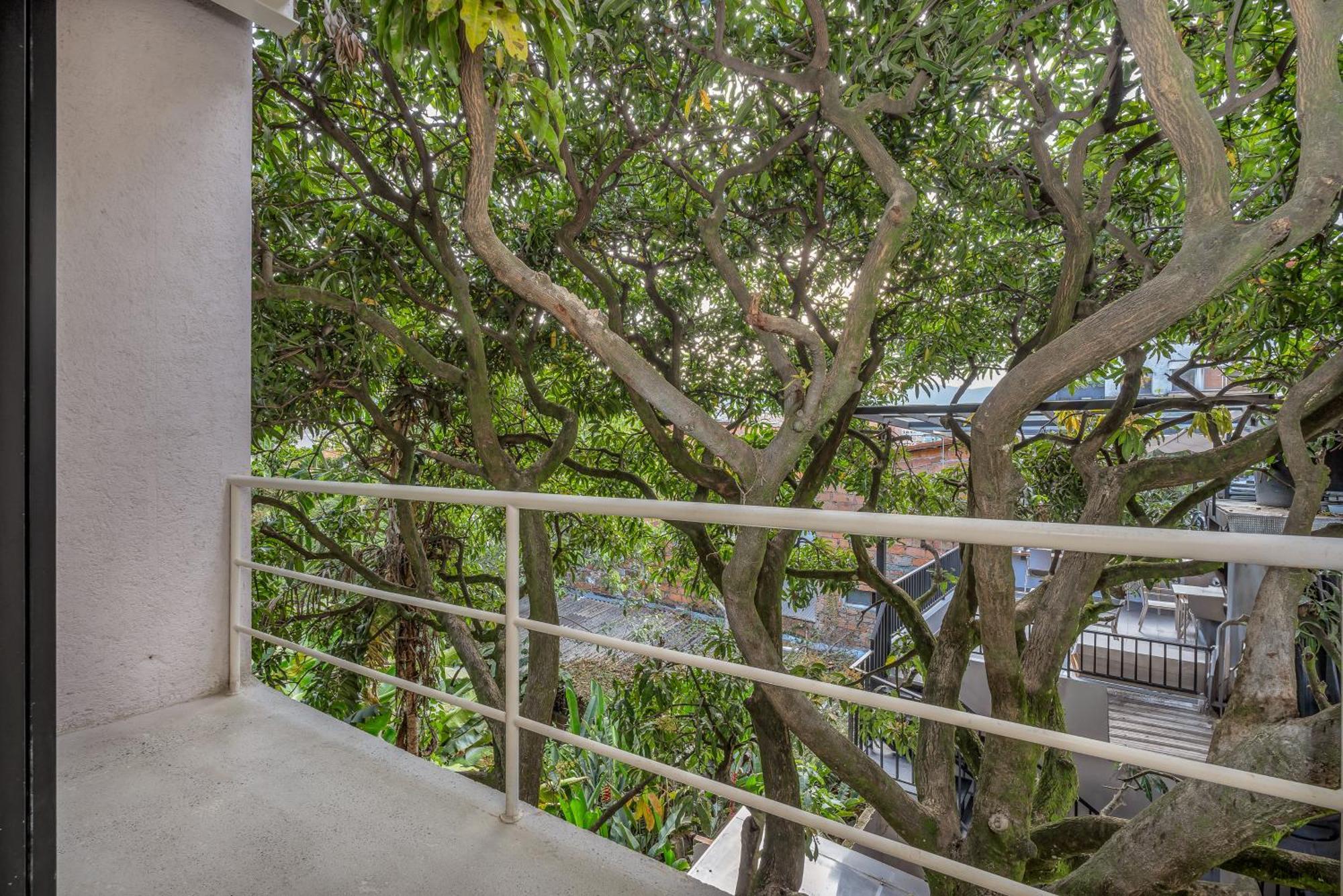 Botanica Casa Hotel Manila By Housy Host Medellín Exteriör bild